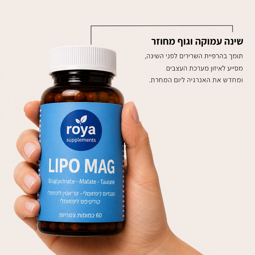 LIPO MAG